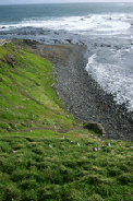 Hyljeluoto Phillip Island
